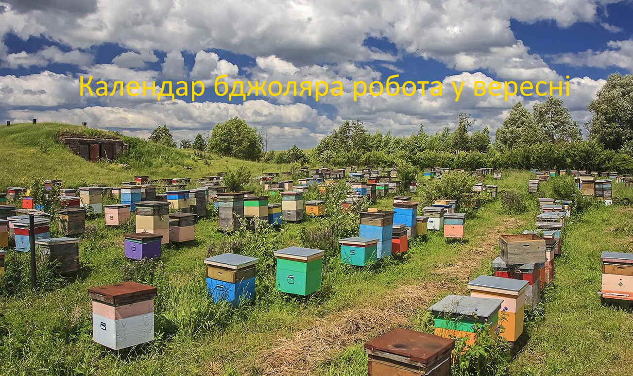 Календар бджоляра робота у вересні