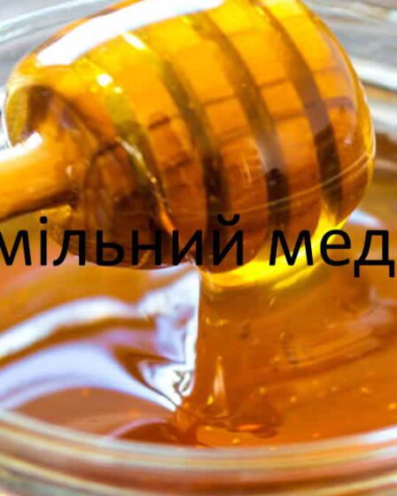 Хмільний меду