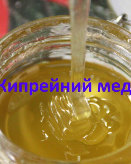 Кипрейний мед