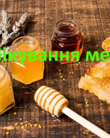 Лікування медом