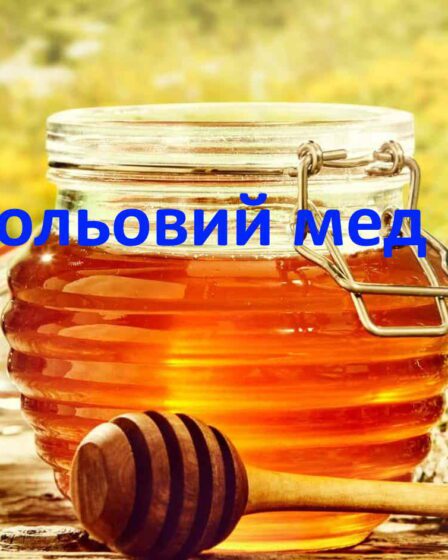 Польовий мед