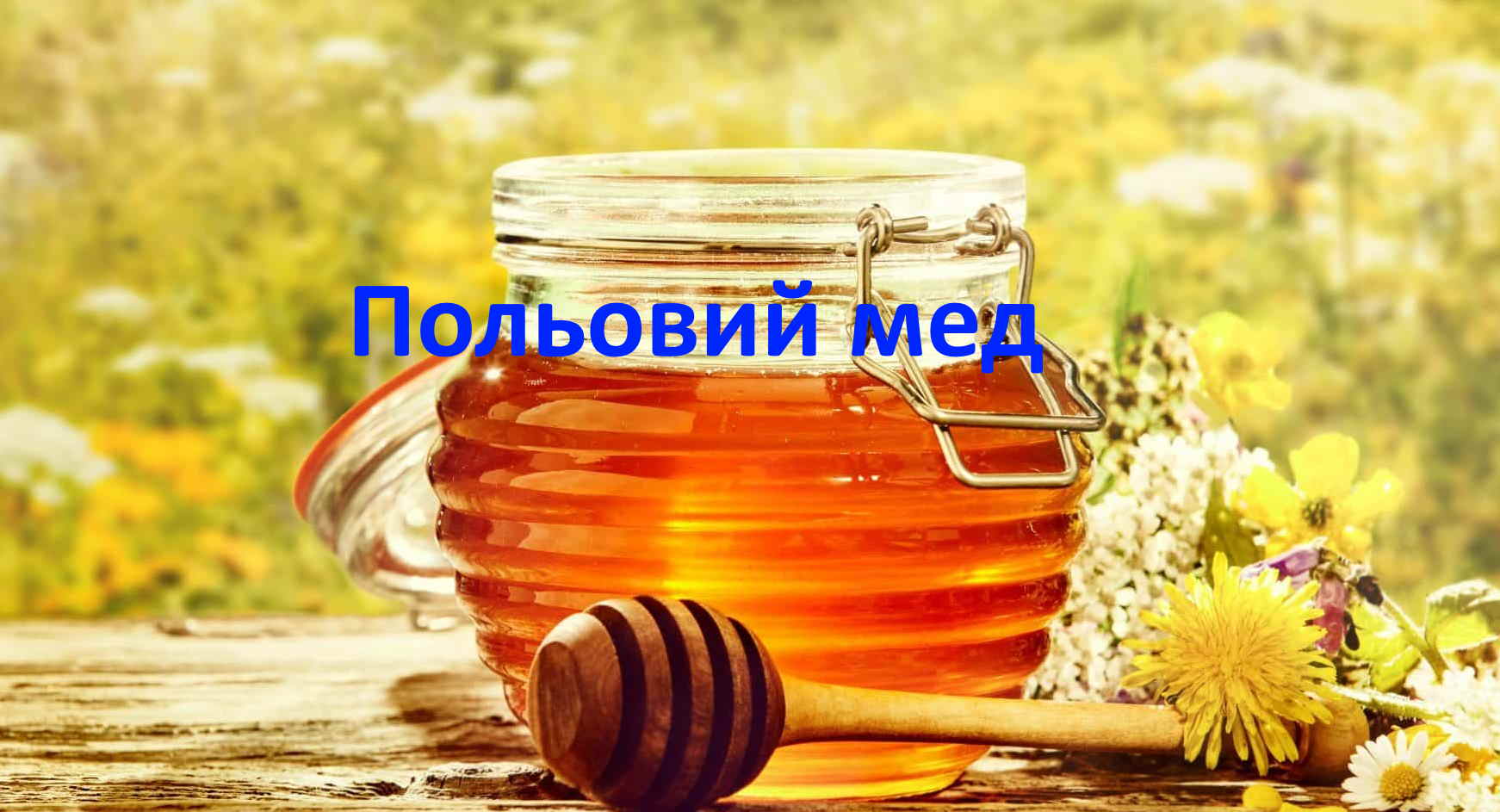 Польовий мед