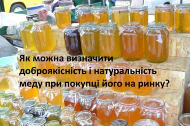 Як можна визначити доброякісність і натуральність меду при покупці його на ринку?