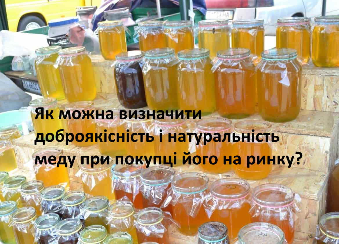 Як можна визначити доброякісність і натуральність меду при покупці його на ринку?