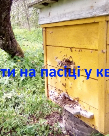 Роботи на пасіці у квітні