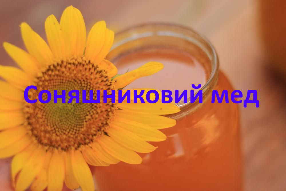 Соняшниковий мед