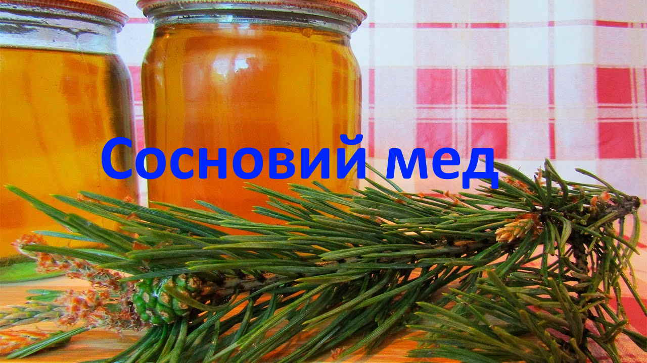 Сосновий мед